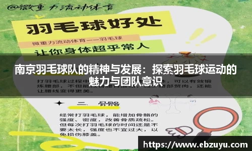 南京羽毛球队的精神与发展：探索羽毛球运动的魅力与团队意识