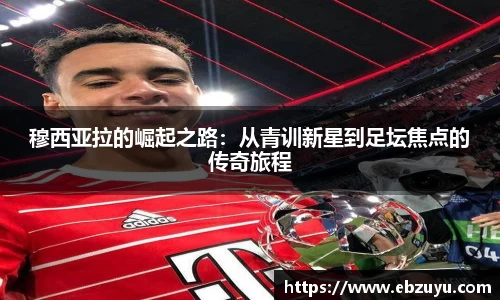 boyu博鱼官方app